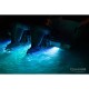 Eclairage sous-marin OCEAN LED serie X-trem