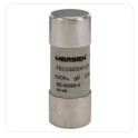 Fusible cylindrique AC/DC 500V 22 x 58mm - 125A